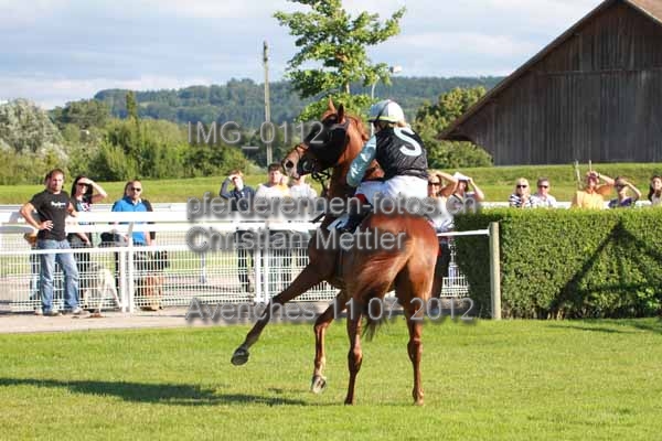 IMG 0112 prot