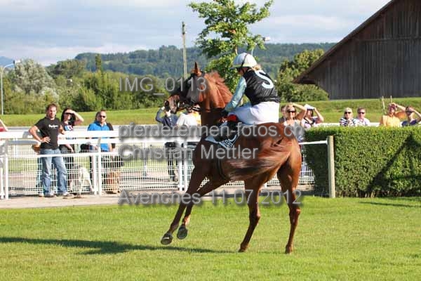 IMG 0113 prot