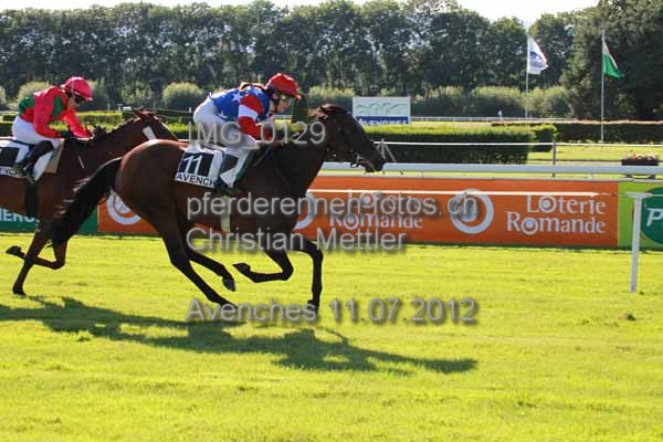 IMG 0129 prot