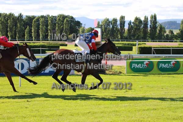 IMG 0135 prot