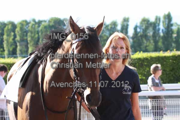 IMG 0156 prot
