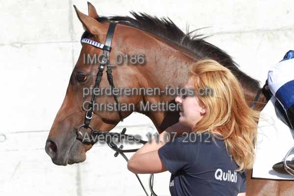 IMG 0186 prot