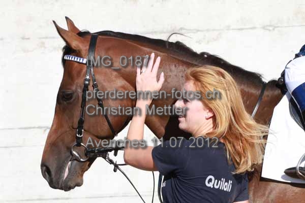 IMG 0187 prot