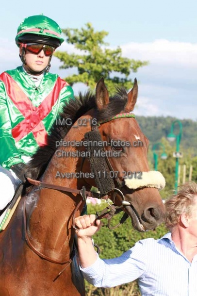 IMG 0216 prot