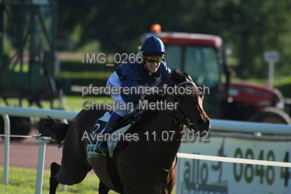 IMG 0266 prot