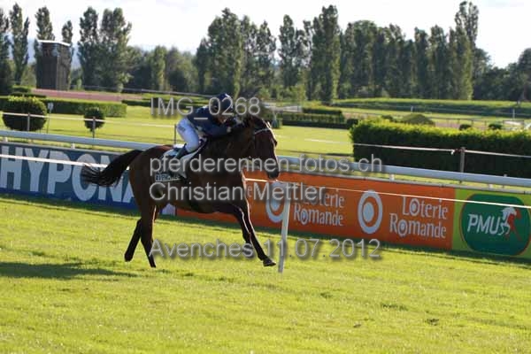 IMG 0268 prot