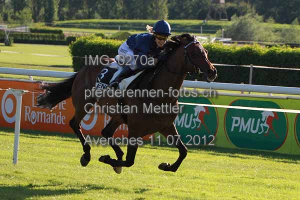 IMG 0270a prot