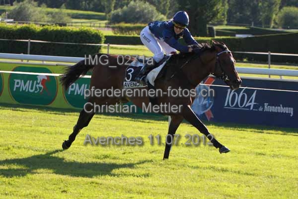 IMG 0271a prot