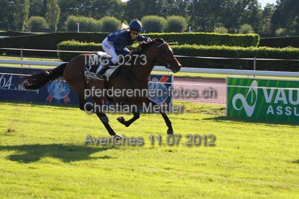 IMG 0273 prot