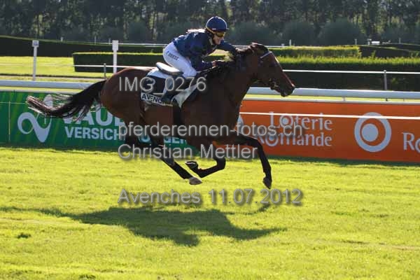 IMG 0276 prot