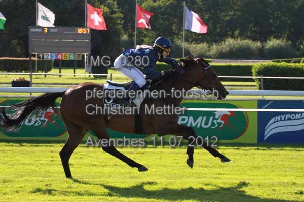 IMG 0280 prot