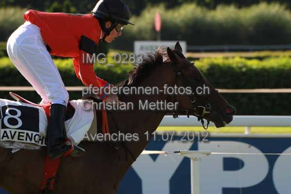 IMG 0283 prot