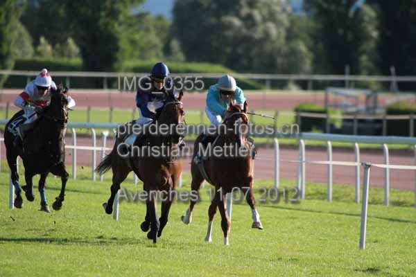 IMG 0355 prot