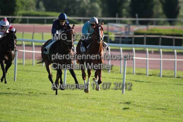 IMG 0357 prot
