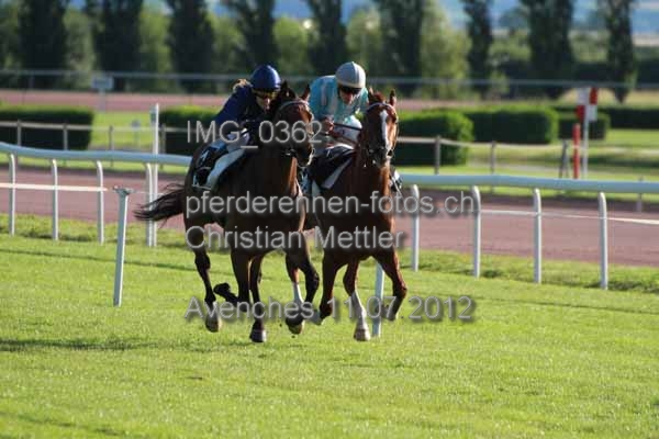 IMG 0362 prot