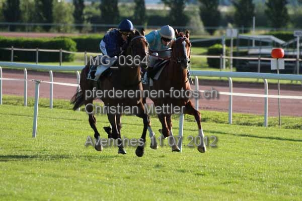 IMG 0364 prot