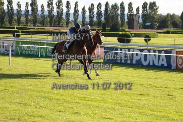 IMG 0371 prot