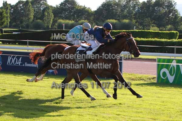 IMG 0378a prot