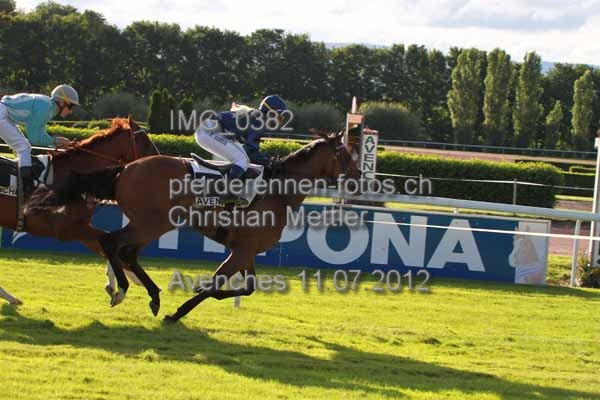 IMG 0382 prot