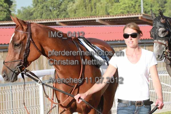 IMG 0412 prot