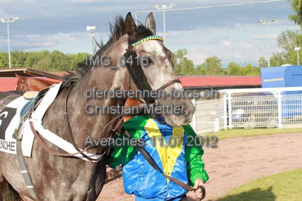 IMG 0416 prot