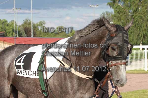 IMG 0417 prot