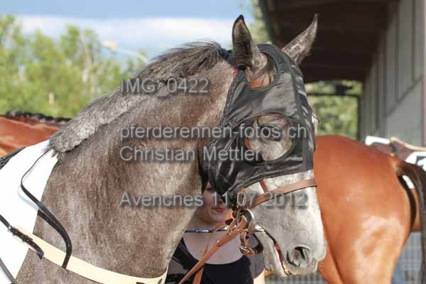 IMG 0422 prot