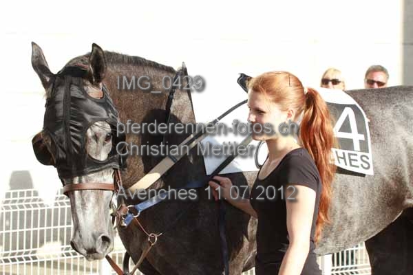 IMG 0429 prot