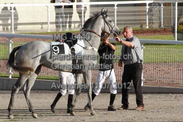 IMG 0440 prot