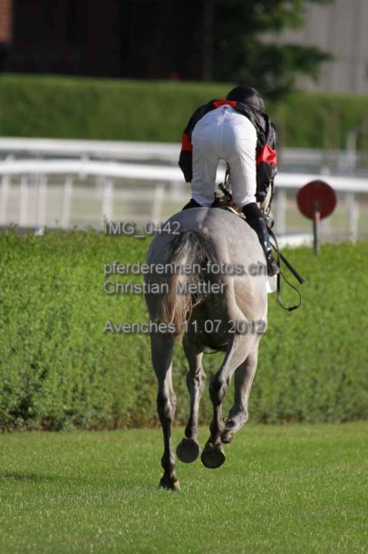IMG 0442 prot