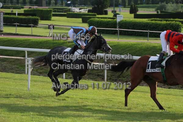 IMG 0456 prot