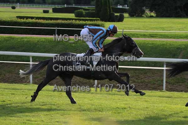 IMG 0459 prot