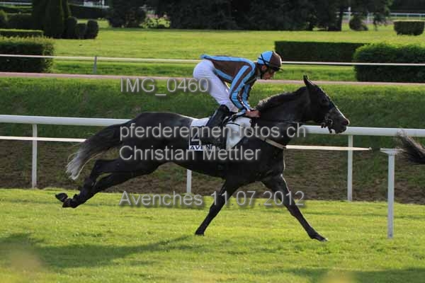 IMG 0460 prot