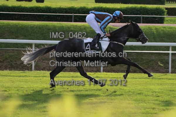 IMG 0462 prot