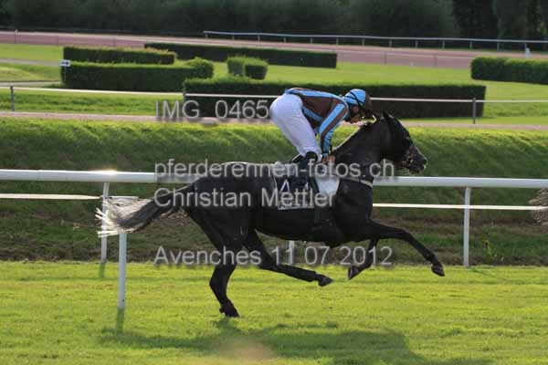 IMG 0465 prot
