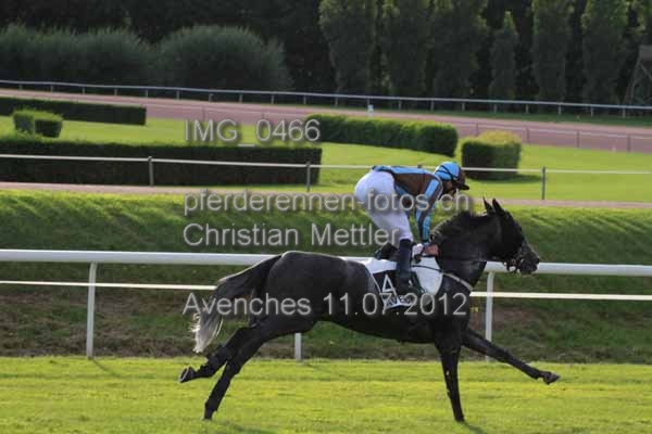 IMG 0466 prot