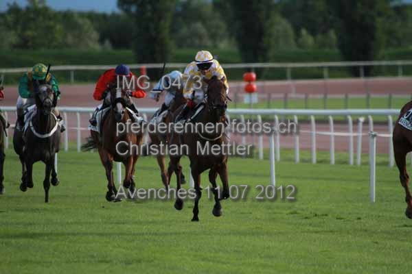 IMG 0473 prot