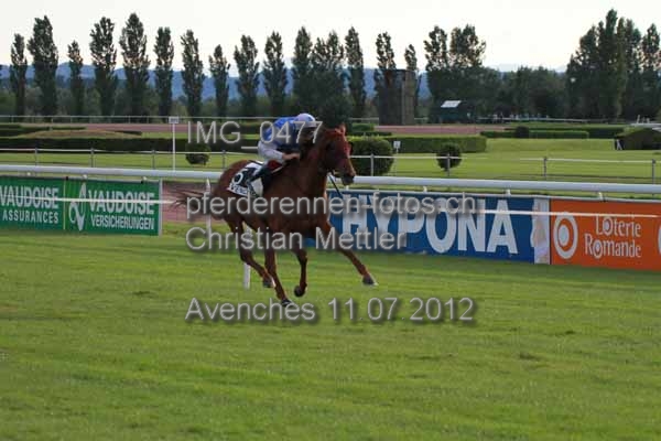 IMG 0477 prot