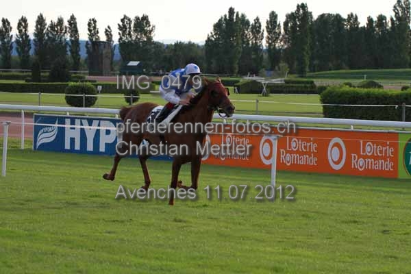IMG 0479 prot