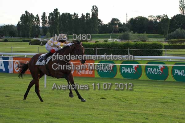 IMG 0480 prot