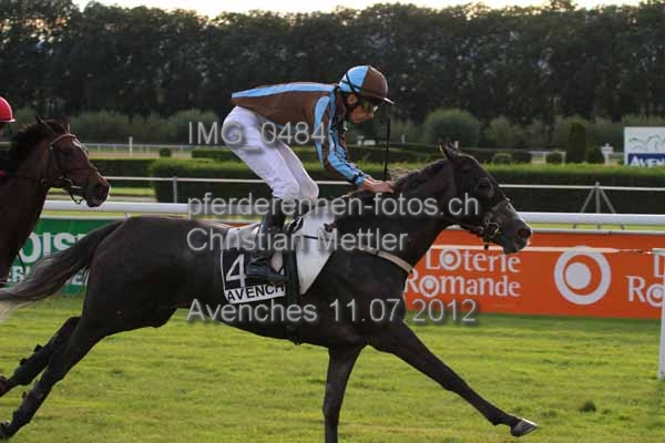 IMG 0484 prot