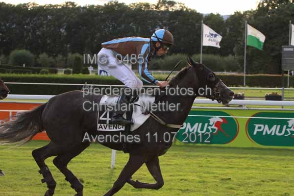 IMG 0485 prot