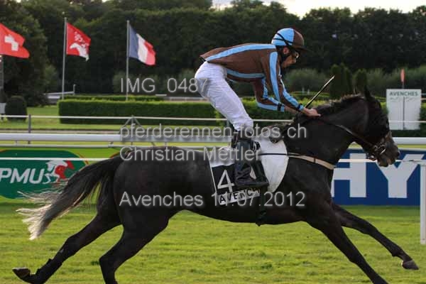 IMG 0487 prot
