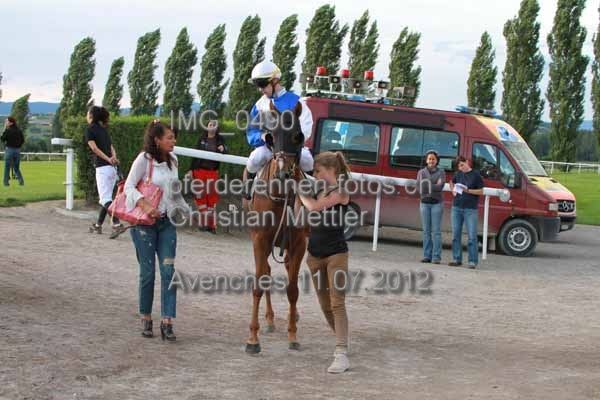 IMG 0490 prot