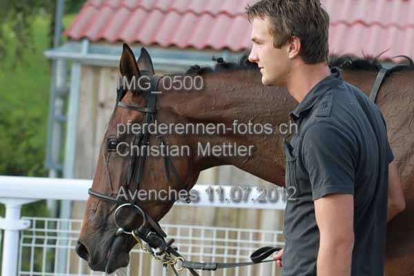 IMG 0500 prot