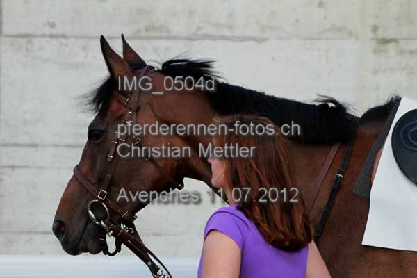 IMG 0504d prot