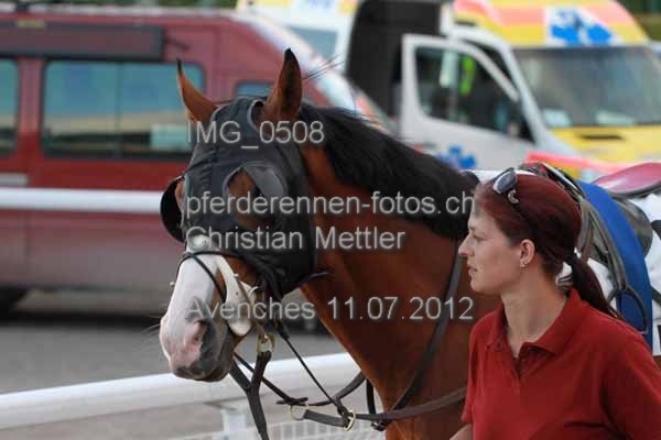 IMG 0508 prot