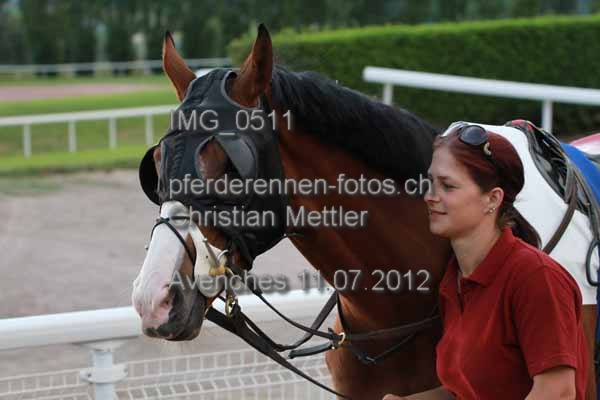 IMG 0511 prot