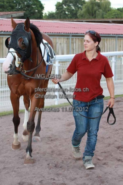 IMG 0519 prot