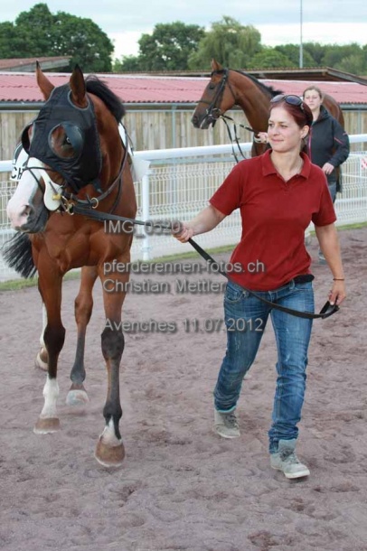 IMG 0520 prot